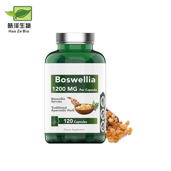 Extracto de Boswellia de alta calidad Personalizar Francensal Extract Cápsulas etiqueta privada Cápsulas de Boswellia