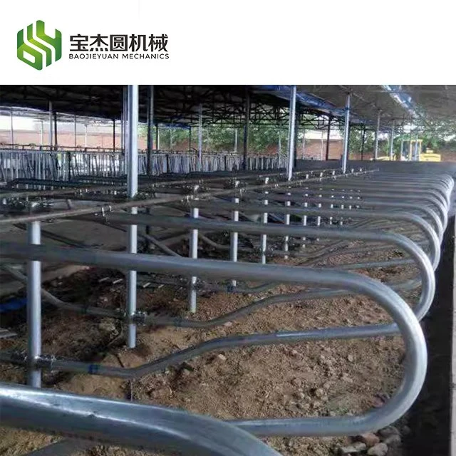 Dairy Cattle Farm Livestock Farming Equipment Cow Horse Free Project Cow Stall Panels for Sale Cattle Free Stall