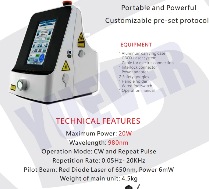 Original Factory Equine Wound Healing Therapy Laser Veterinary Laser for Surgery and Therapy