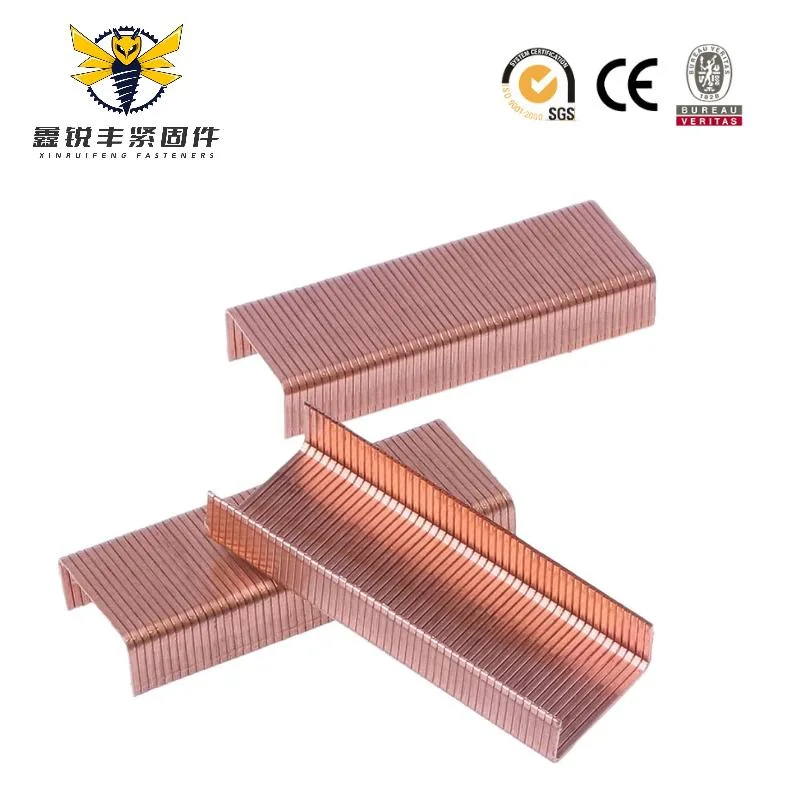 China Hot Sales de qualidade superior galvanizou 24/6 Office Staples