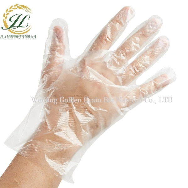 100% Biodegradable and Compostable Plastic Disposable Gloves Pbat PLA Cornstarch En13432