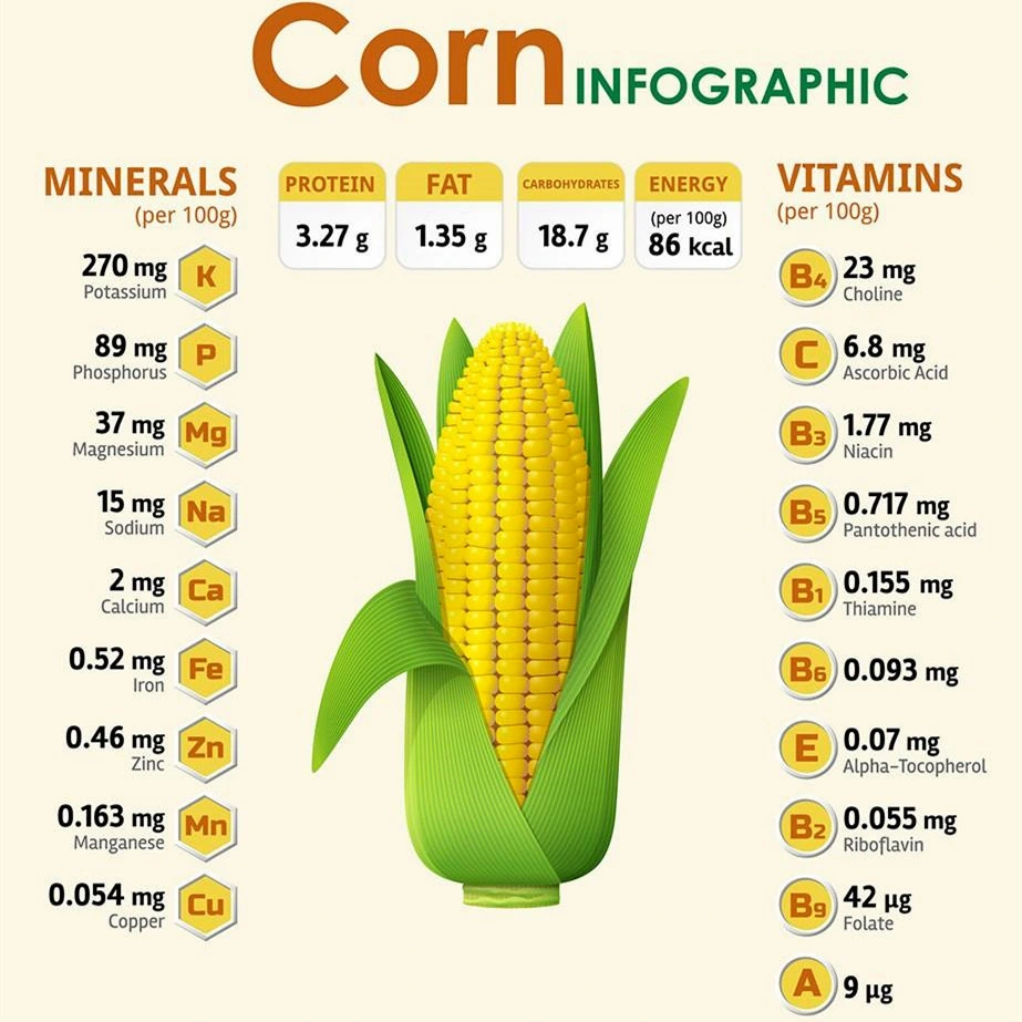 100% comida y bebida Natural Frutas orgánicas y Extracto Vegeltable Polvo de maíz seco congelado