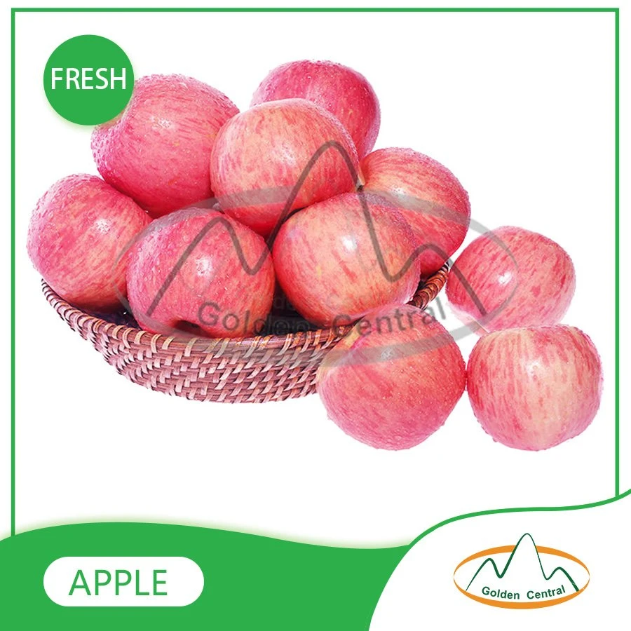 Atacado fresco delicioso novo tipo Apple delicioso mercado de frutas de exportação