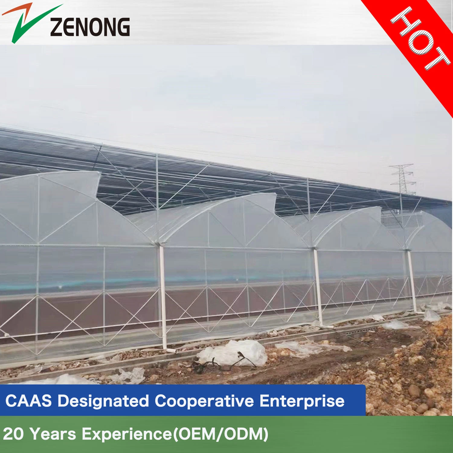 Fácil instalación tradicional China Film Greenhouse con alta calidad para Agricultura