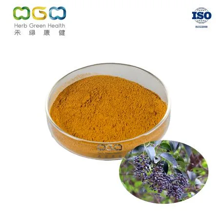 Food Supplememt Glossy Privet Fruit Extract Ursolic Acid 0.5% Powder