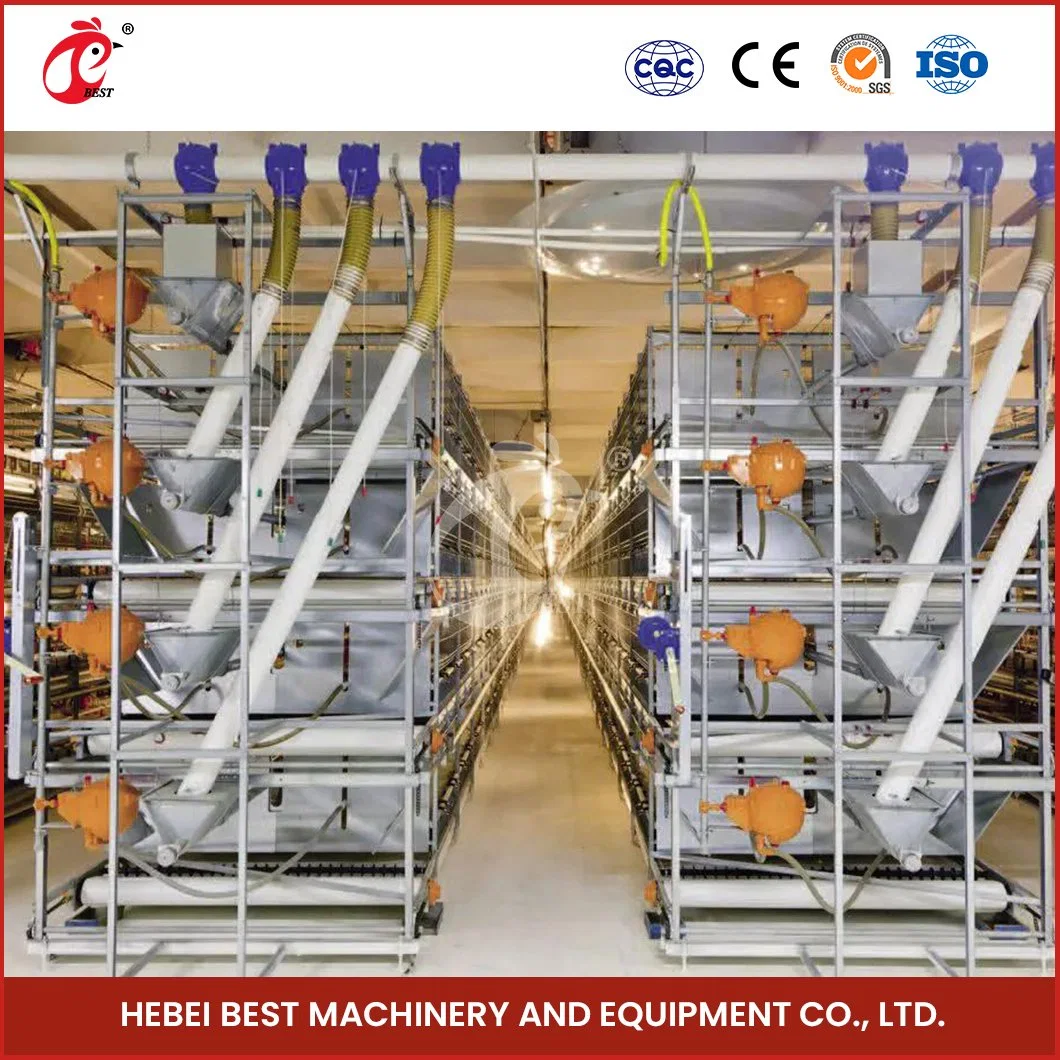 Bestchickencage China Automatic Breeding Chicken Cage Suppliers H Frame Automatic Boriler Cages Wholesale/Supplier Quick Clean Disinfect Features Battery Chicken Cages