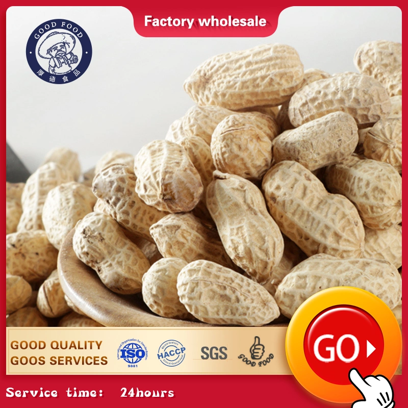 Ex-Factory Price New Crop Nature Garlic Taste Roasted Blanched Peanuts