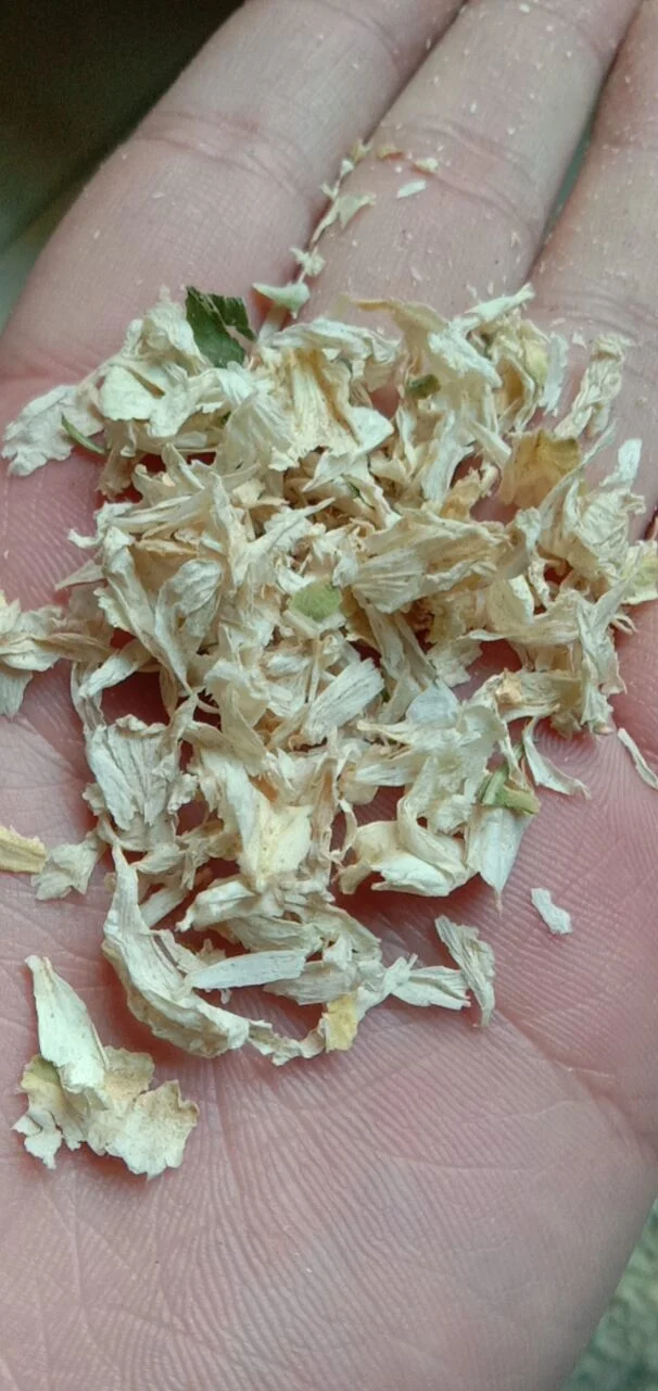 Mu Jin Hua Bulk Dried White Hibiscus Flor Shrubalthea Para el té