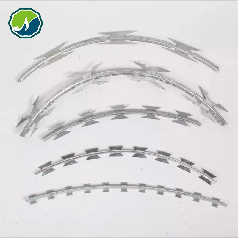 Galvanized PVC Stainless Steel Concertina Razor Barbed Wire Bto-22 Bto-60 Cbt-65 Fencing Wire Price