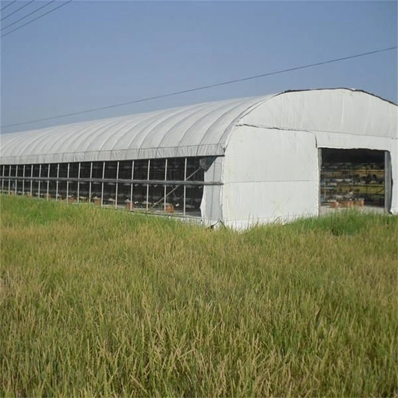 Factory Directly PE 5 Layers Plastic Black/White Silage Bunker Cover Agricultural Silage Sheet