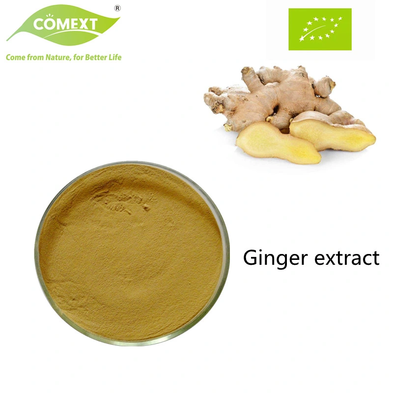 Comext Factory High quality/High cost performance  100% Natural Health Product Ginger Extract Ginger Root Extract