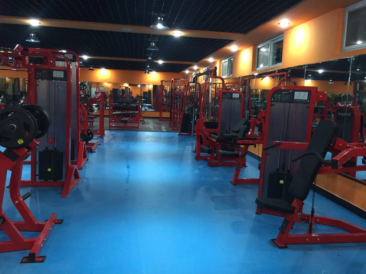 Salle de gym de l'équipement chargé de la plaque réglable Pente/ déclin/banc banc plat utilisé pour la maison