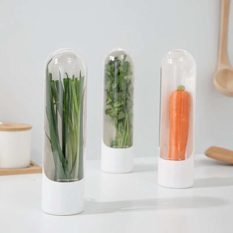 Plant Vegetable Crisper Vanilla Storage