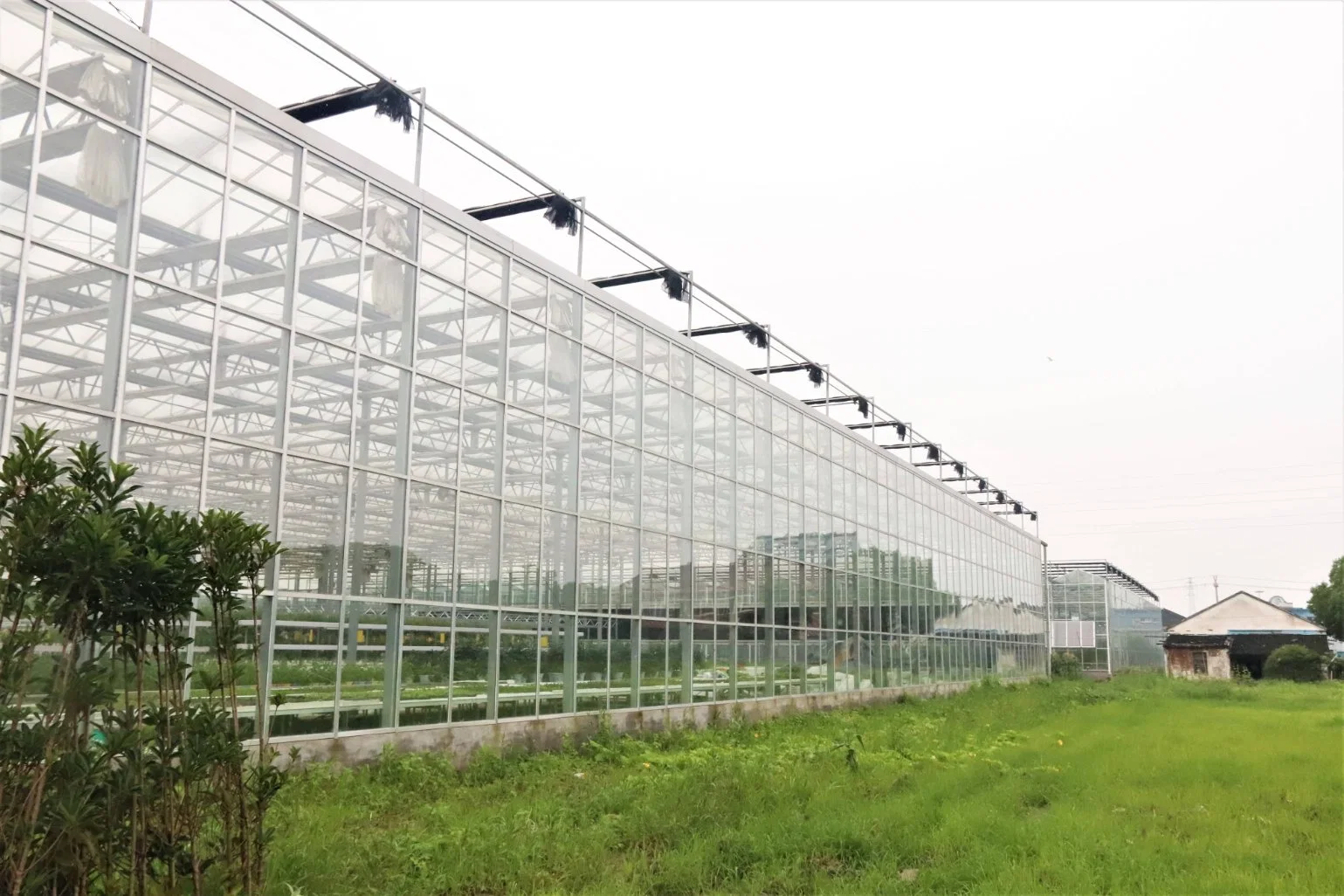 Commercial Glass Greenhouse with Climate Control System