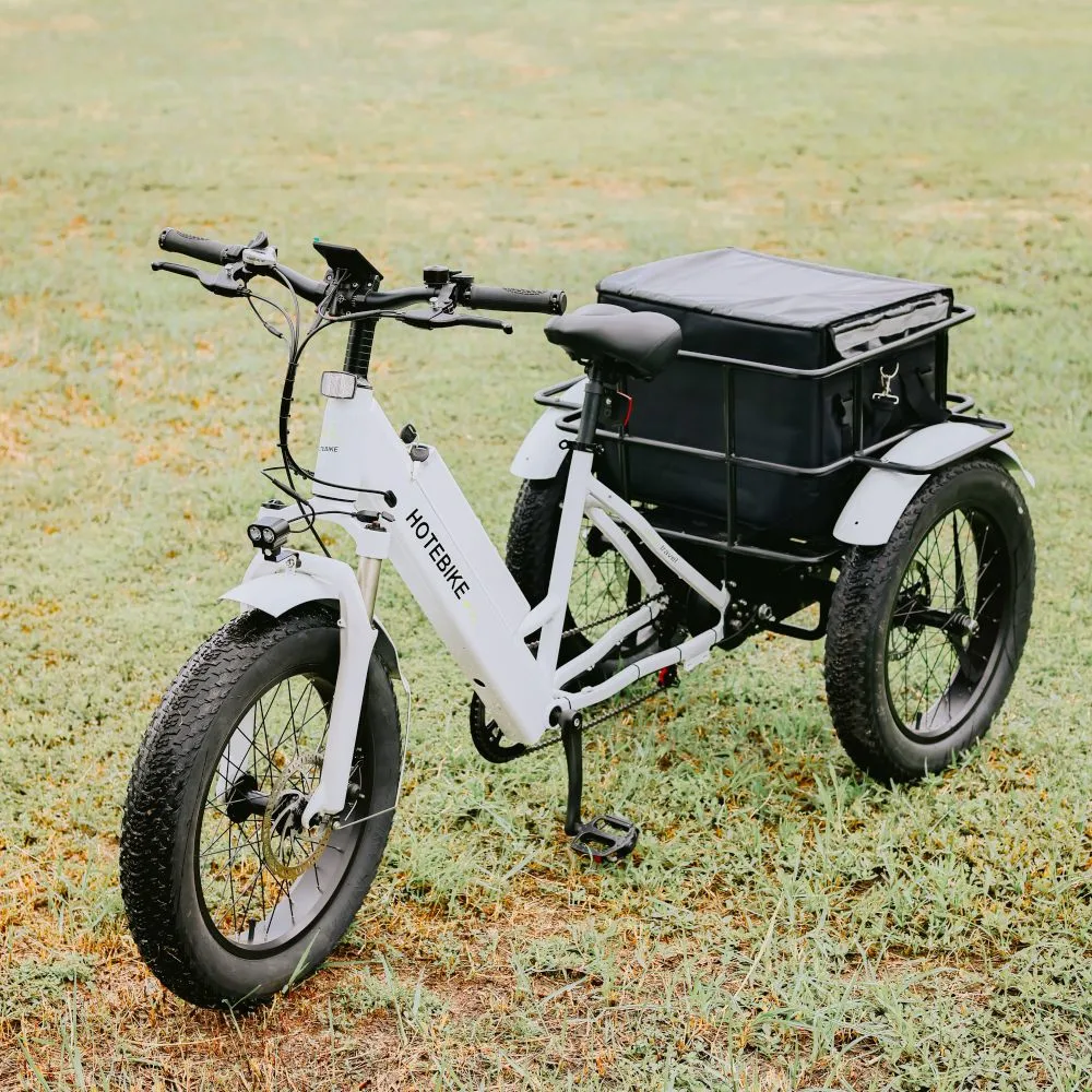 Factory Custom Electric Tricycles 20inch Fat Tire Three Wheel Electric Bike Trike for Sale