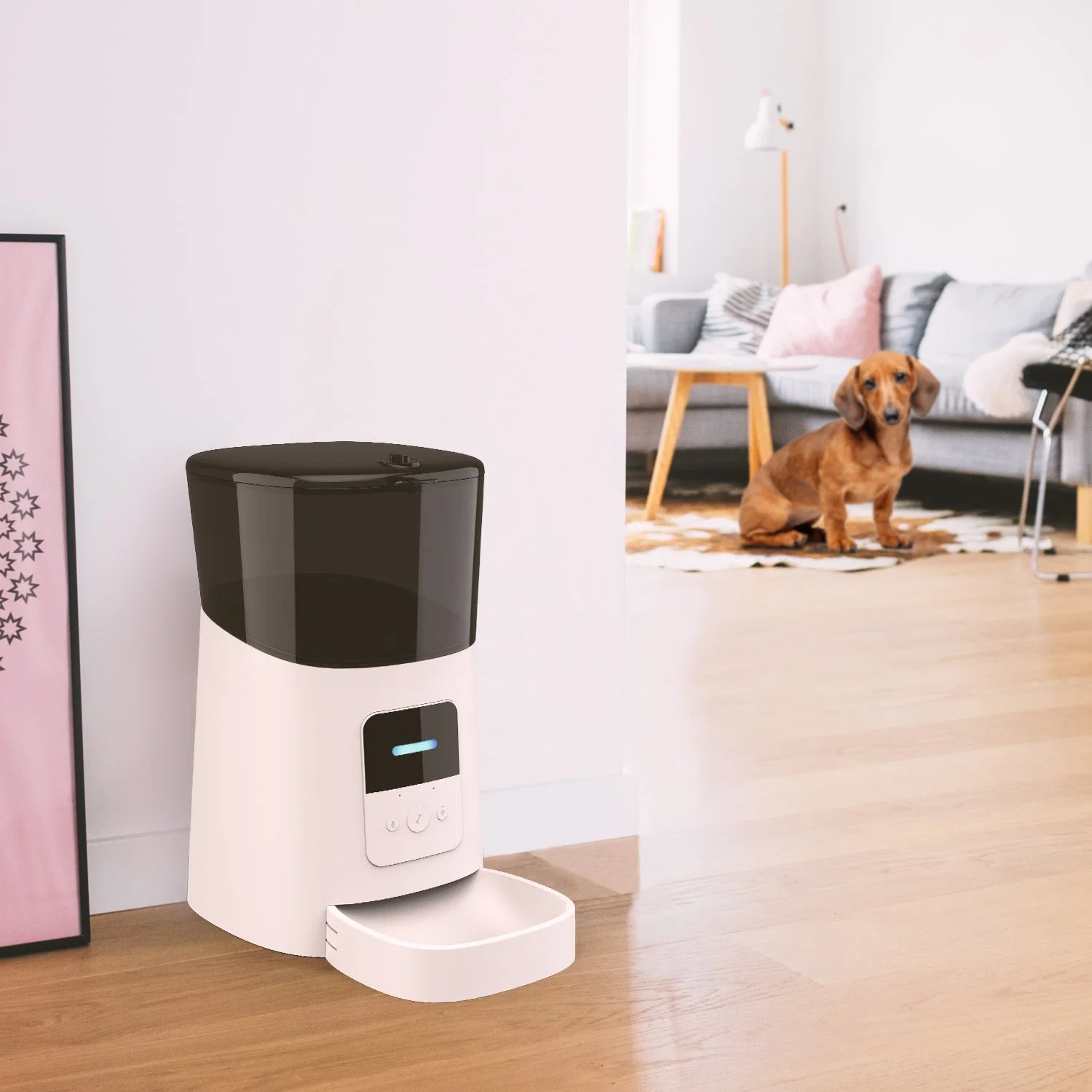 Automatic Smart Remote Control Microchip Automatic Pet Feeder