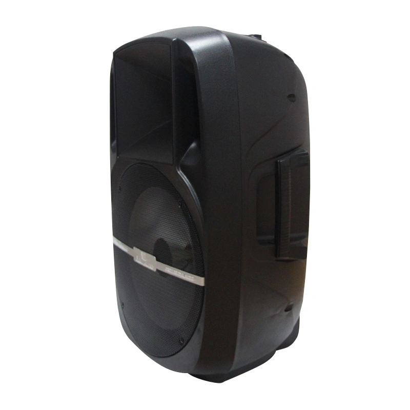 Memory Card Support 15inch Audio Speaker Sound Box