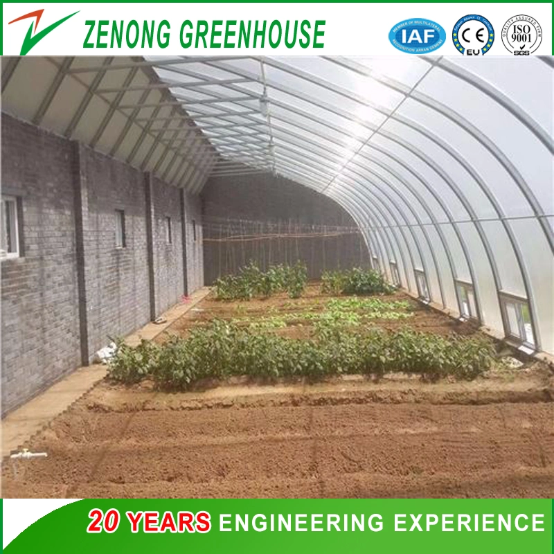 Easy Install and Low Cost Plastic Film Single-Tunnel Greenhouse for Tomato/Cucumber/Cabbage