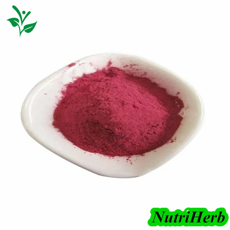 Water Soluble Natural Pigment Color Red Radish Color Powder