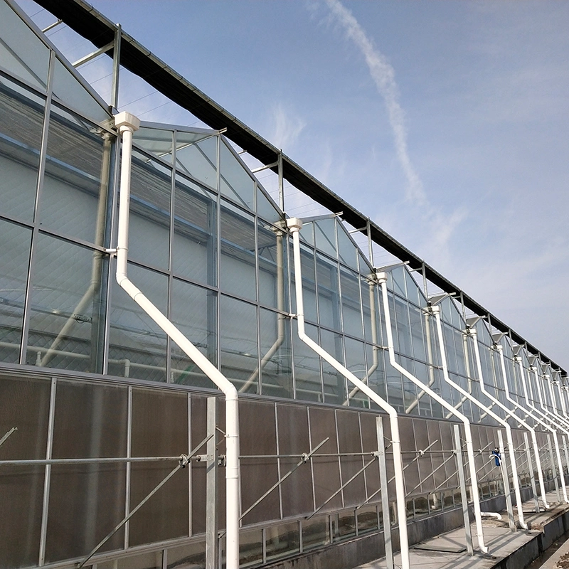 High-Permeability Sealing/Single-Layer Toughening/Flowers/Vegetables/Fruits/Planting/Farm Glass Greenhouse