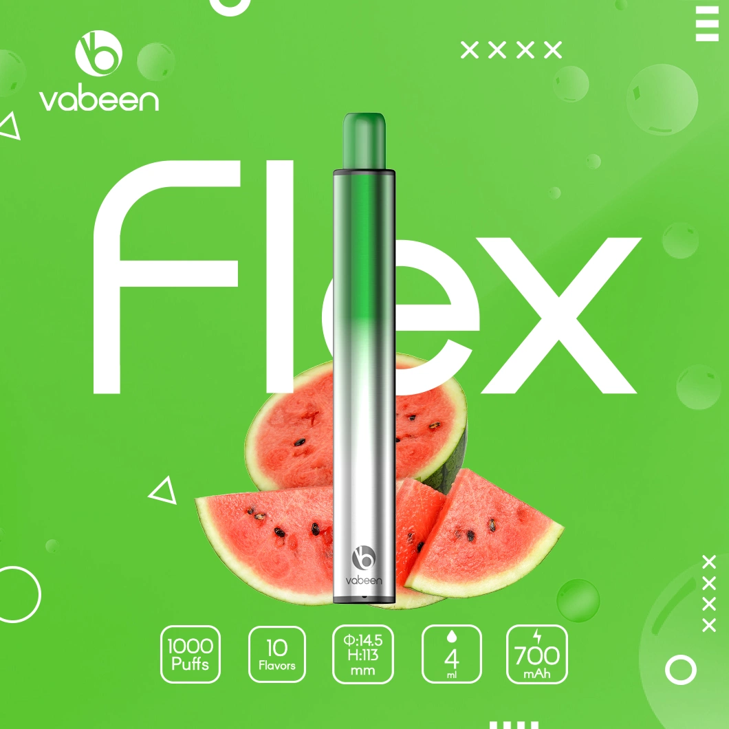 2022 EU Hot Selling Disposable Pod 1000 Puffs Vabeen Flex with 10 Flavors