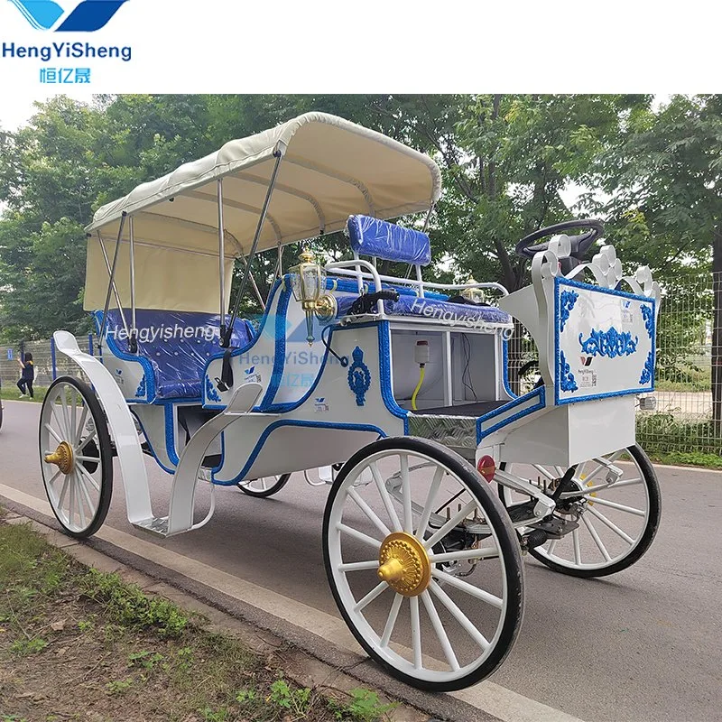 Special Transportation for Sightseeing Tourism Horse Carriage for Sale