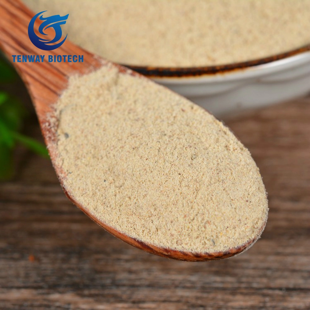 Food Ingredient Flavor White Pepper Seasoning Powder Used in Food at Factory Price