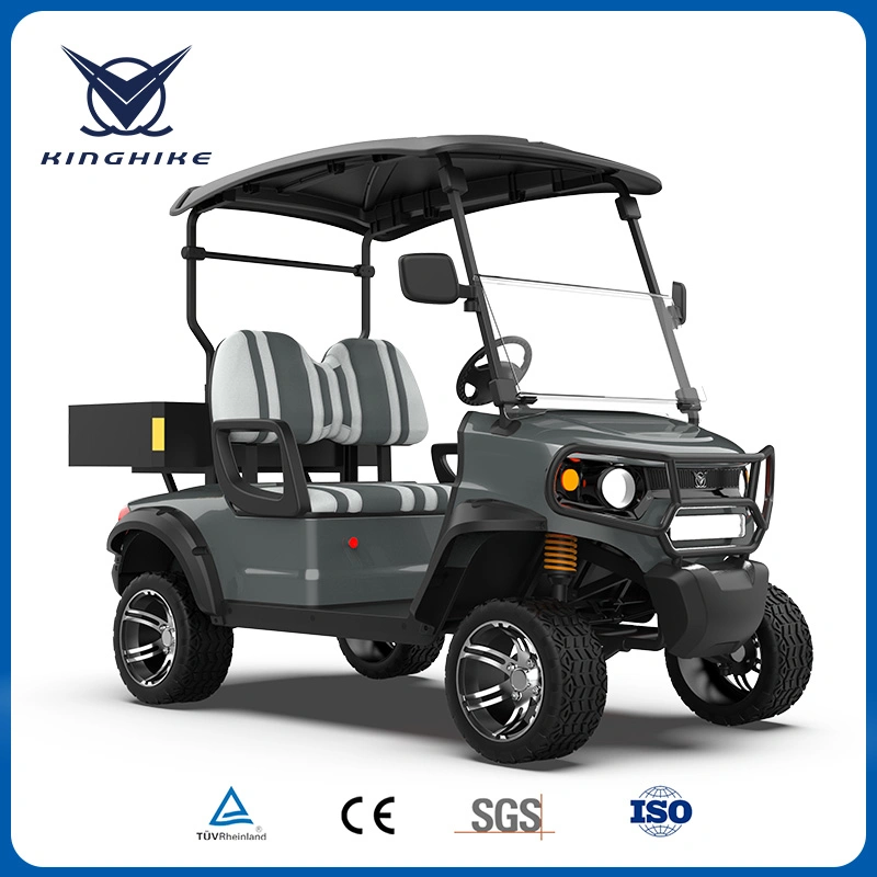 1-2 Golf Course, Tourist Area, Villa, Amusement Park 2 Seat Electric Cart Buggy