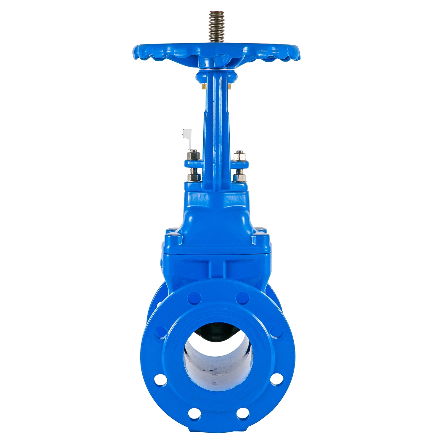 Stainless Steel Gate Valve