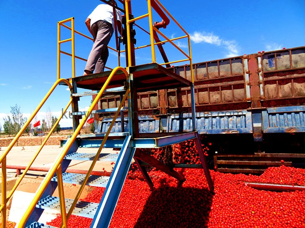 Tambour prix d'usine 28-30 % 220L La pâte de tomate Ketchup