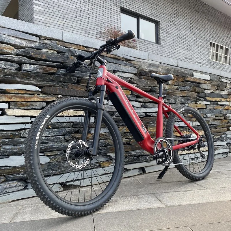 Ciudad China de bicicleta de montaña OEM Bicicleta eléctrica
