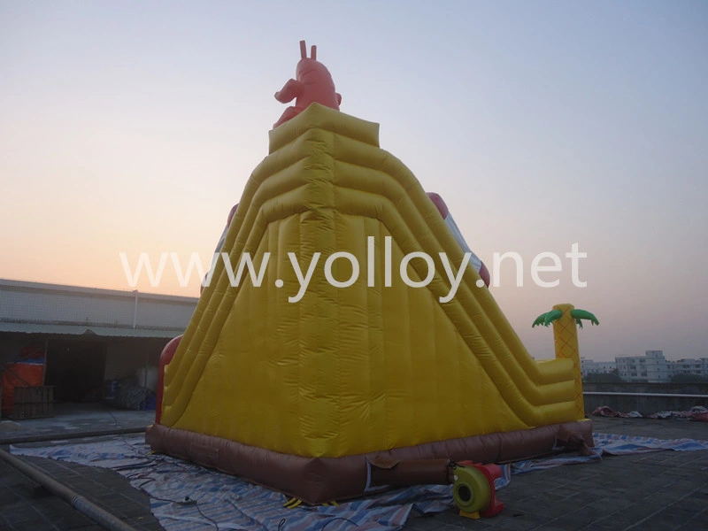 Factory Amusement Park Inflatable Bouncy Castle Slide for Sale