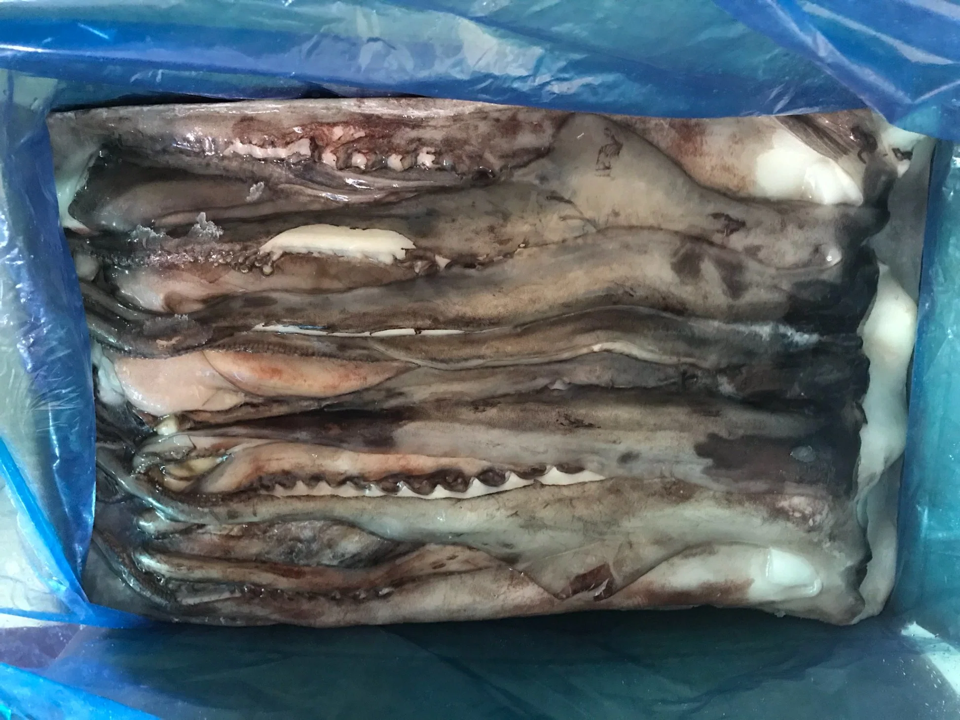 Hot Sale Frozen Seafood Nutritious Factory Supply Squid/Calamari Tentacle with Great Taste