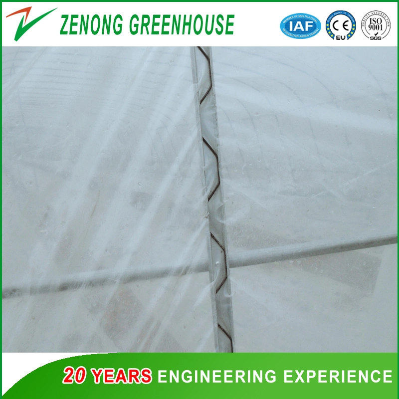 Good Quality Small Greenhouses with Ventilation/Film Rolling Device for Vegetable/Flower Cultivation
