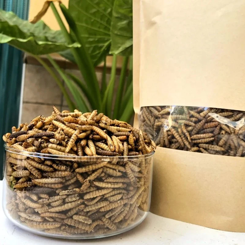 Dried Poultry Use Poultry Black Soldier Fly Larvae