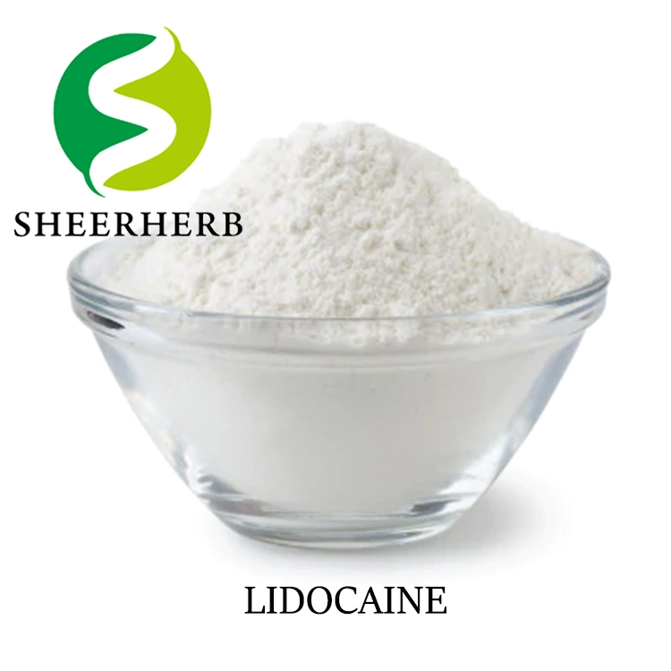 Sheerherb polvo de lidocaína al mejor precio al por mayor de 99% lidocaína CAS 137-58-6