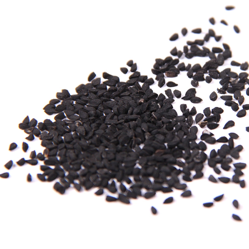 L010 Nigella Sativa semillas de Cumin Negro secas Naturales de buena calidad Para la venta