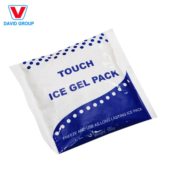 Promotion Custom Ice Pack Gel Packs Food Transparent Cooler Bag