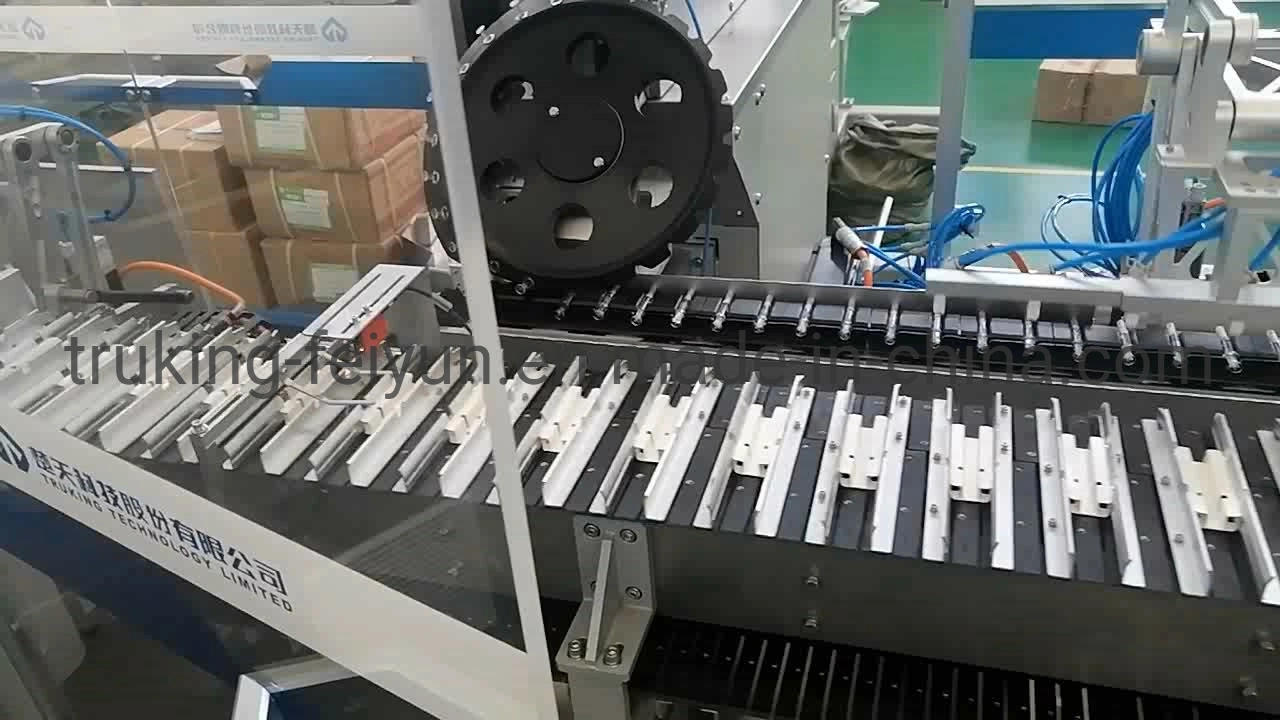 Automatic Packaging Cartoning Machine Tablet Pill Capsule Blister Plate Boxes Packing Machinery