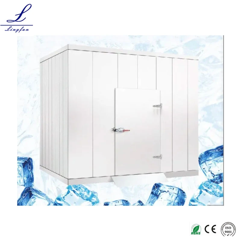 Cold Storage Room PU Insulation Panel 120mm Thinckness Low Temperature Walk in Freezer for Slaughter House