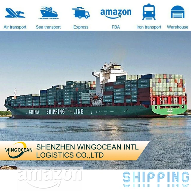 Reliable International Cheapest and Fastest Sea Shipping Provider From Shenzhen to Turkey/ Israel DDU DDP Logistics Service