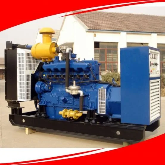 600kVA/660kw Gas Generator Pig Farm Manure Landfill Gas Biogas Farm Backup Power Generator