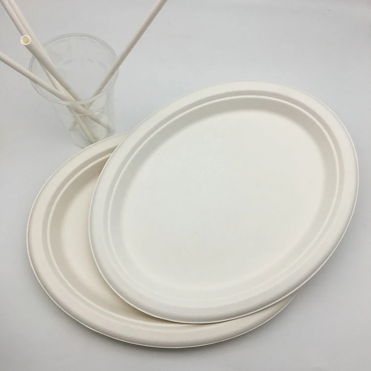 Hot Selling Sugarcane Bagasse Plates Medium Oval Plate