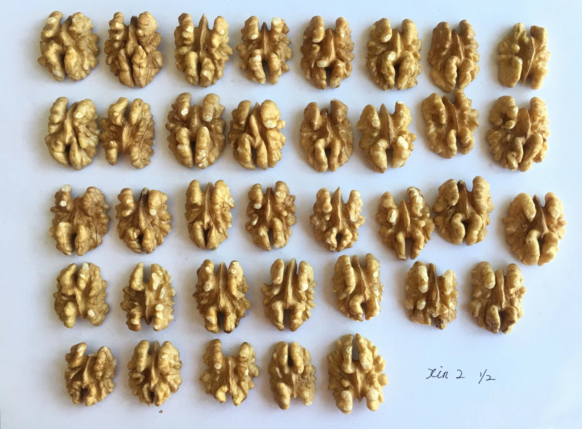 Organic Nuts Natural Fresh Walnuts Without Shell From China Manufacturer Wholesale Price