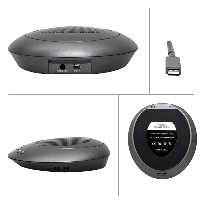 2.4G Wireless Omni-Directional Microphone with Speaker Battery