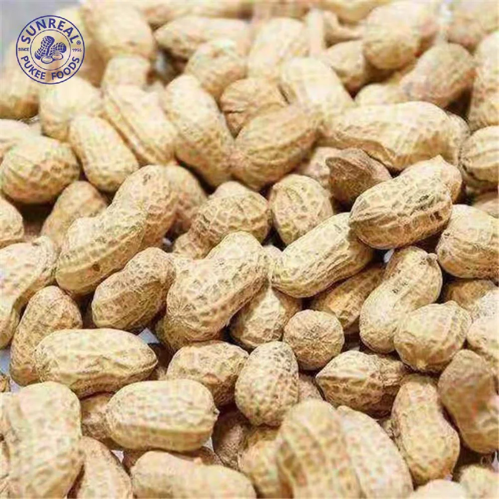 Raw Peanut Inshell /China /New Crop 9/11