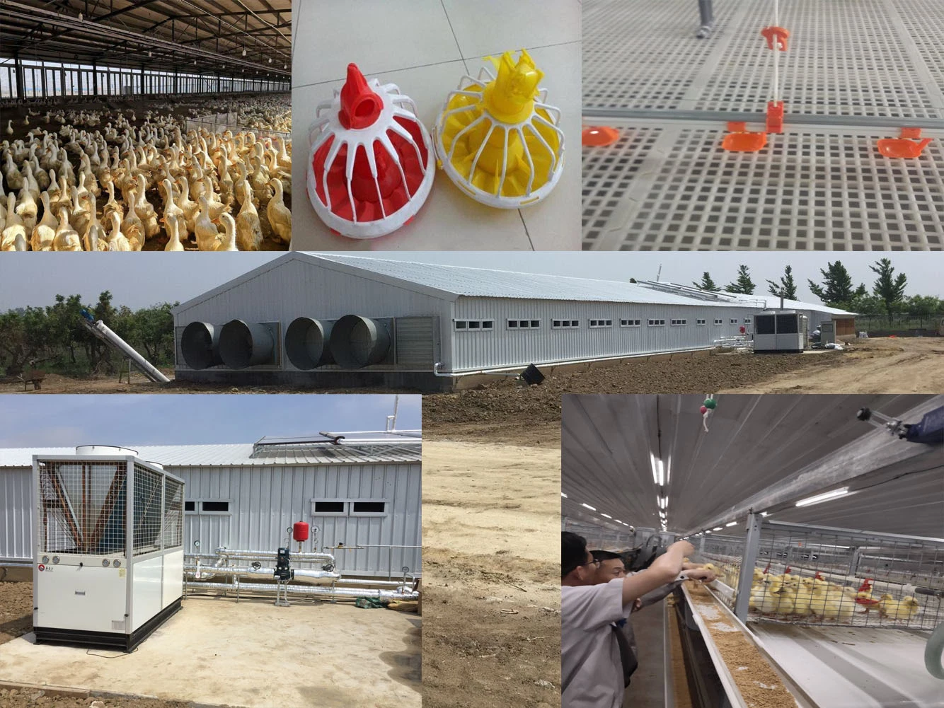 Automatic Poultry House with Ventilation Fan