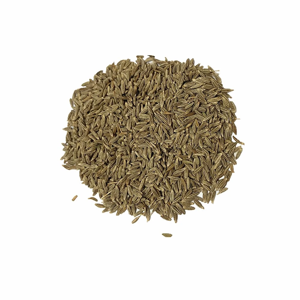 Wholesale/Supplier Premium Quality Cumin Seeds Single Spices