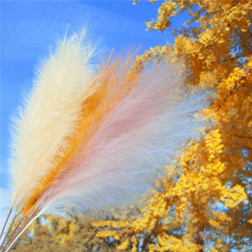 Sumflora Dekorative Natürliche Kleine Braune Pampas Gras Getrocknete Blumen