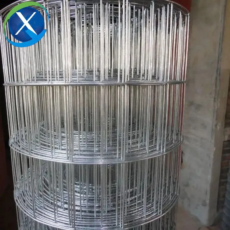 12 Gauge Hot Dipped Galvanized Welded Wire Mesh Price